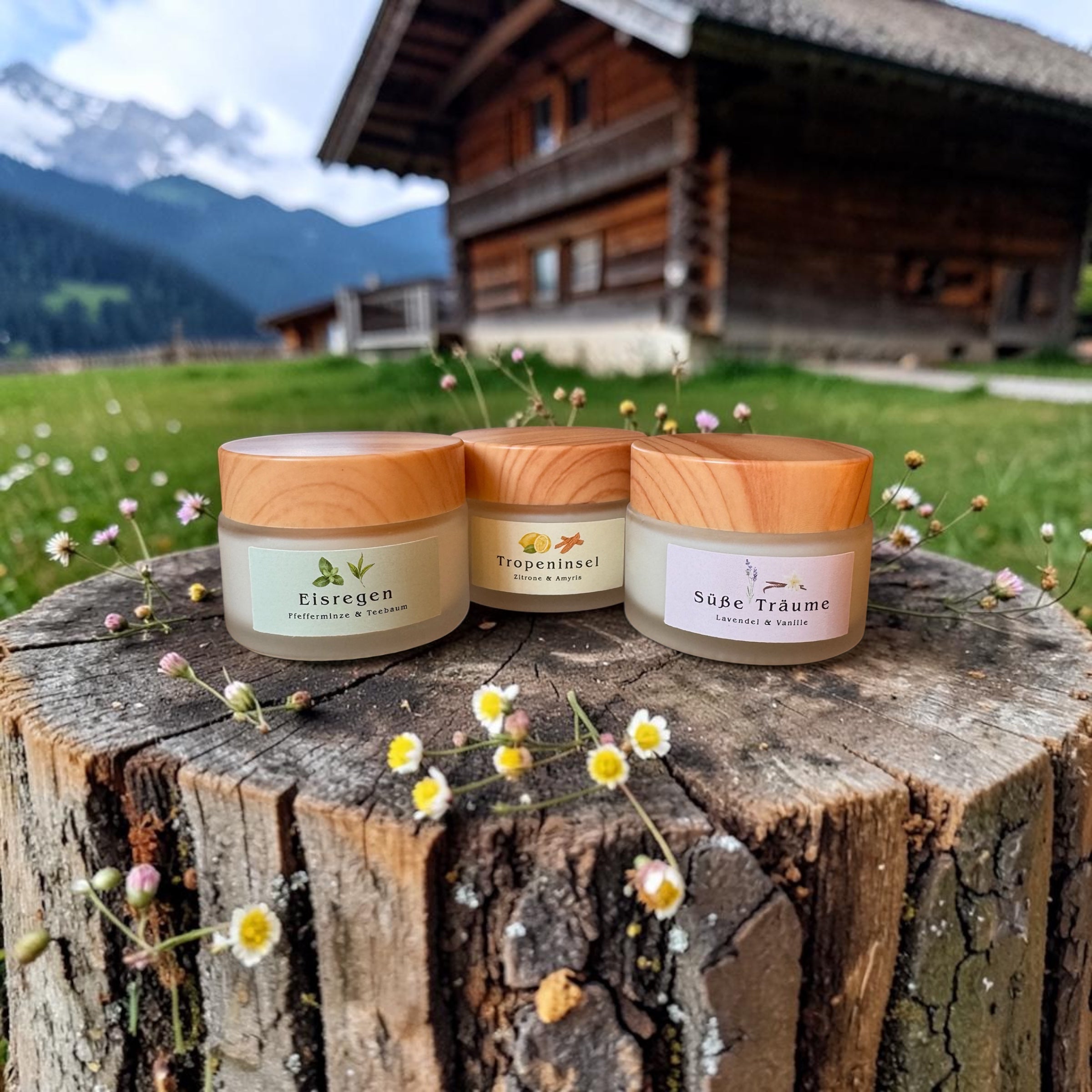 TALLOWA Gesichtscreme Probierset (3 × 30 ml)